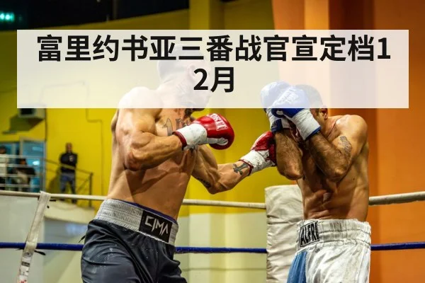heavyweight boxing match